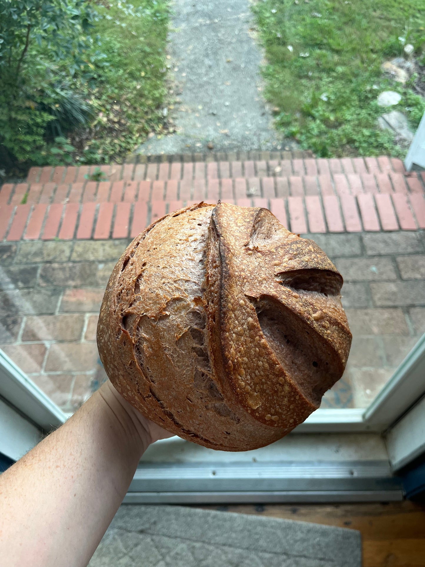 Advanced Sourdough Workshops