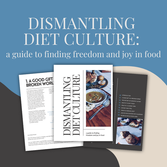 Book titled 'Dismantling Diet Culture' with pages open on a blue and gray background