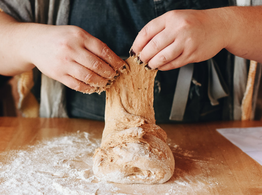 2026 Workshops, Trainings, and Retreats