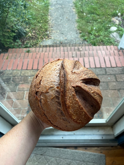 Advanced Sourdough Workshops