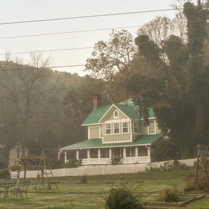 White house with a green roof in a rural setting with trees and power lines.